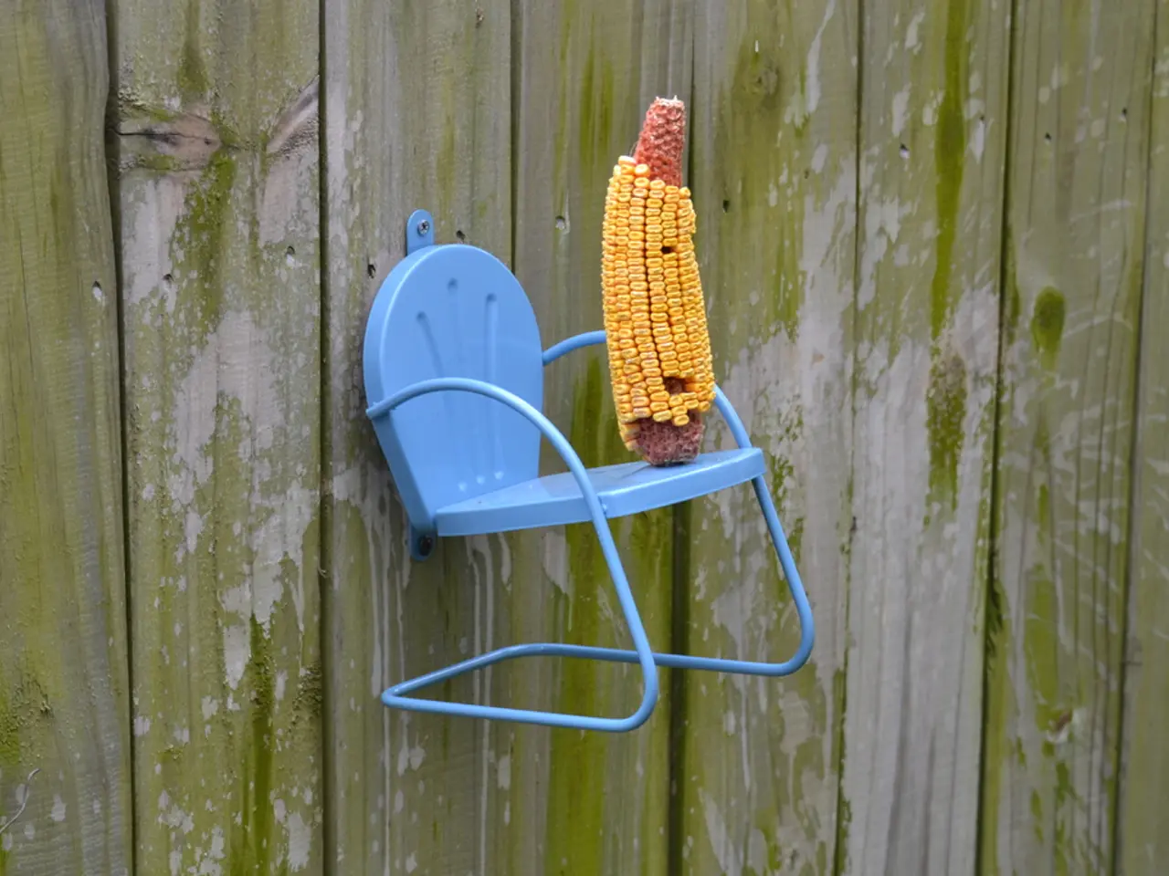 DIY Guide for Crafting Homemade Goop