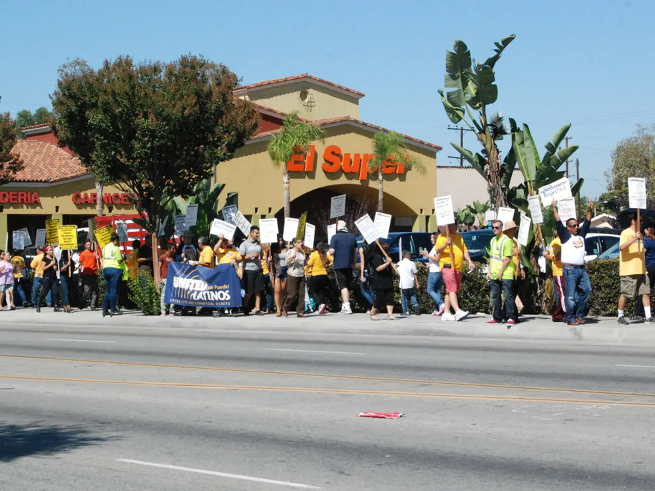 Investigating Survey Research: Purposes, Methods of Selection, Categories, and Benefits