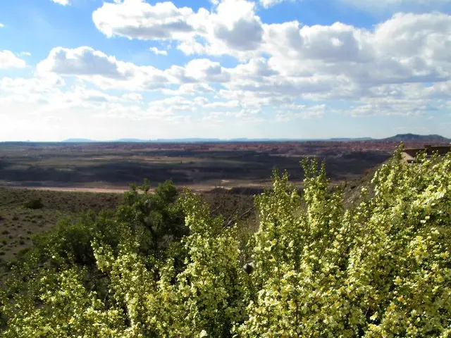 Earth Not a Unified Organism: Examination of Gaia Theory and Its Implications