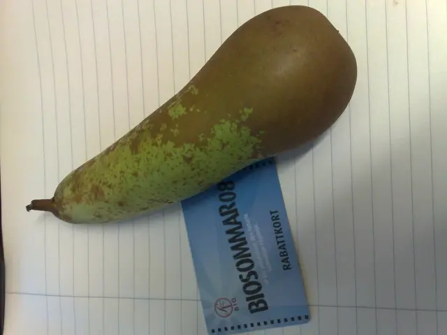 Credit Card Showdown: Chase Sapphire Preferred vs. Costco Anywhere Visa [In-Depth Analysis]