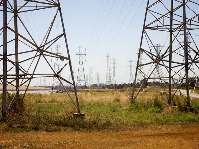 Strategies for Developing Rural Telecommunications Networks in Africa