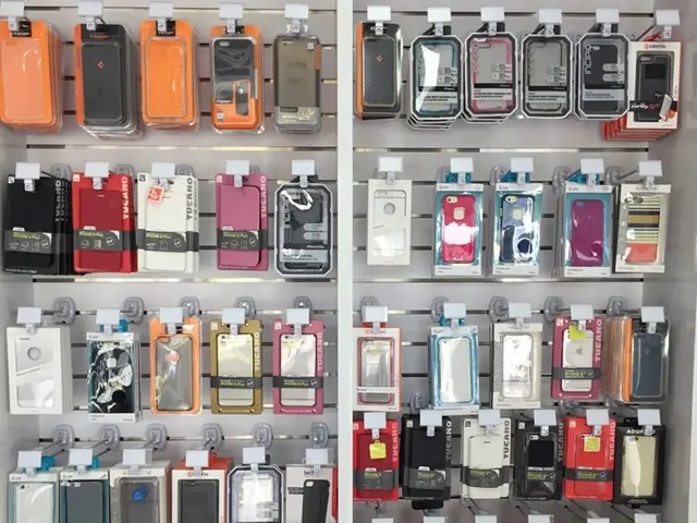 Insight into Criminal Case Rights: A Comprehensive Guide on Legal Entitlements