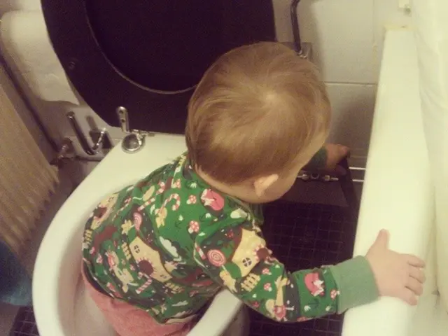 Essential Elements in Counseling Diversity: Overview