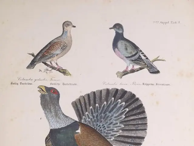 Investigating for materials or aid