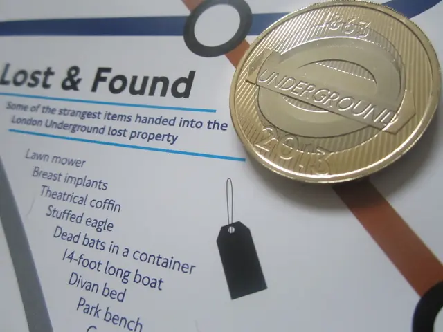 Expand Your Studies with Princeton's Coin Collection for Research Purposes