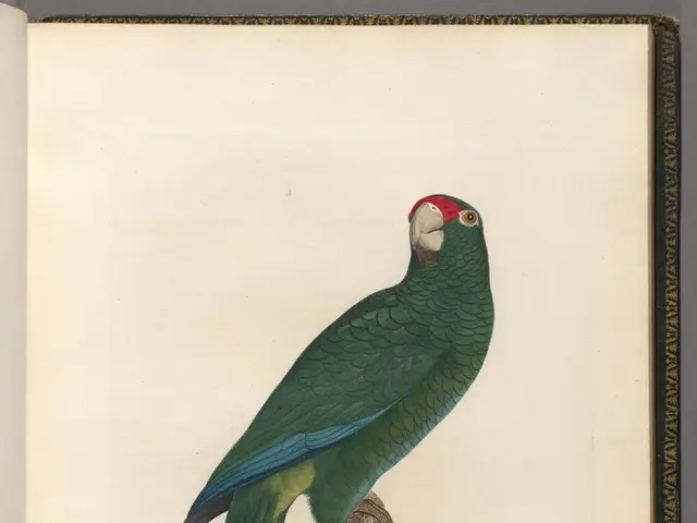 Discovering Self-control: Five Inspirational Quotes Attributed to Aristotle