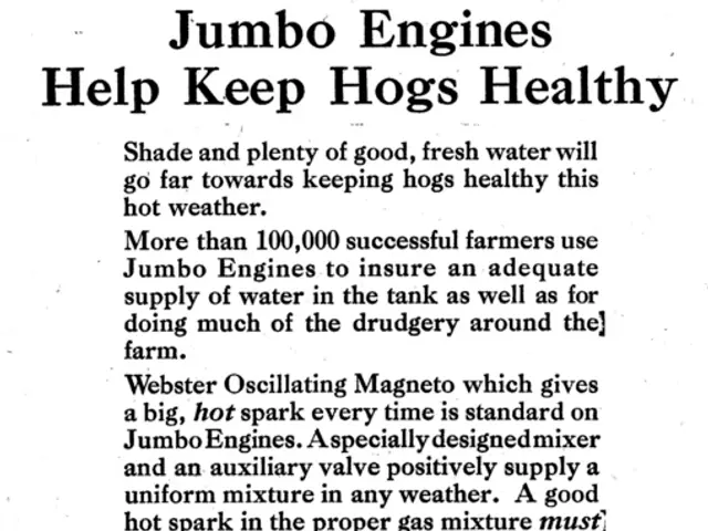 Delving into the Intellectual Core: A Scholarly Outlook on Reverse Engineering