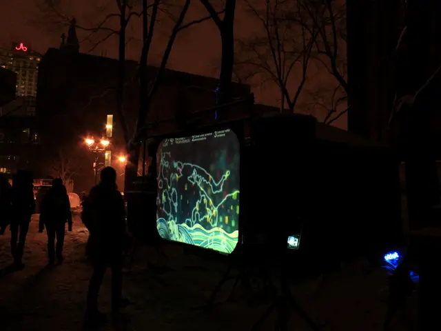 Role: Project Leader