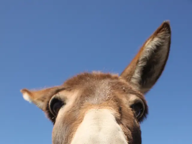 Ancient Demoness Worshipped in Ancient Mesopotamia, Known as Lamashtu