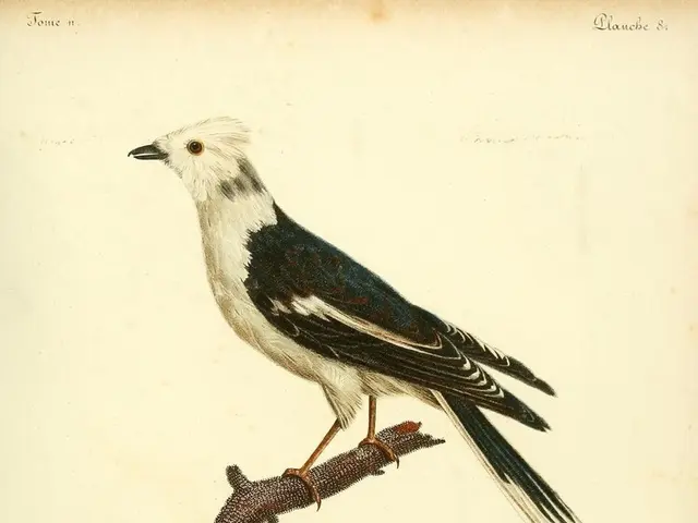 English Translations of Top 20 Popular Hindi Proverbs for Students