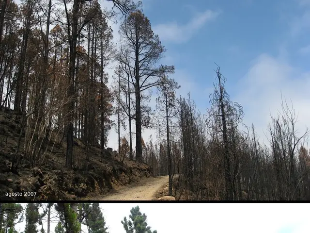 Geological Physics or Physics of the Earth, abbreviated as GP, studies the physical properties and...