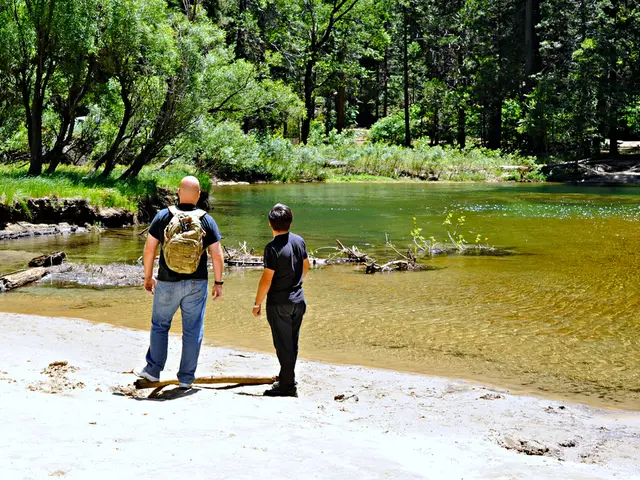 Examining Financing Options: A Look at Traditional Banks, Online Services, and Alternative Money...