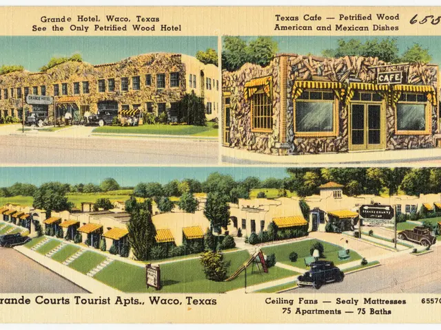 Switching Professions to UX Design: A Step-by-Step Guide