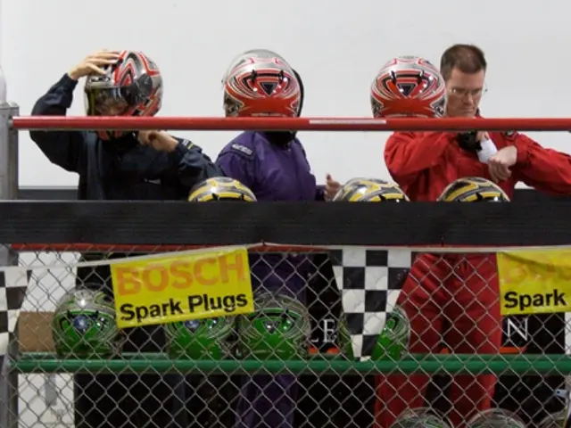 Volunteer work exemplifies democracy being put into practice