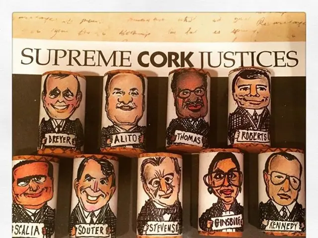 Examining the Diagram that Depicts Various Facial Expressions in Animation