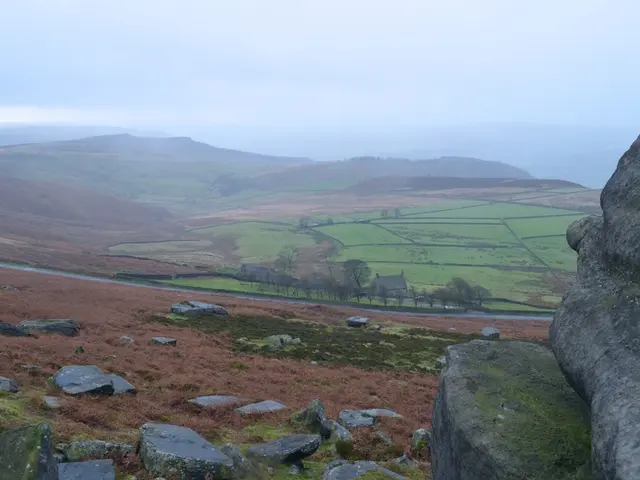 Blossoming Ties Between Kazakhstan and the UK under Ambassador Leach's Leadership: Focus on...