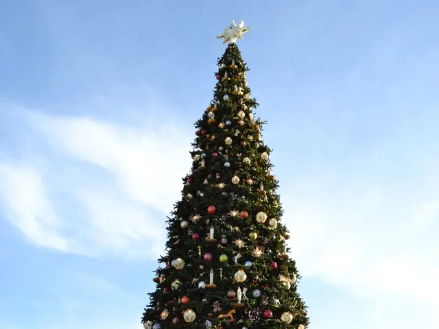 Controversy Surrounding the Beginning of Summer Vacation: Parents Express Discontent