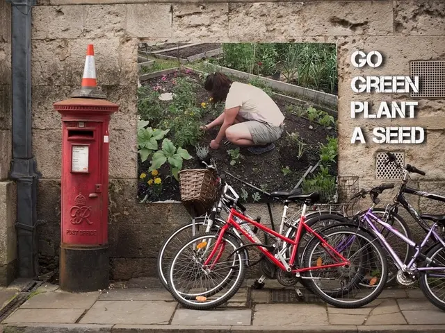 Navigating Journeys with Safety and Enjoyment