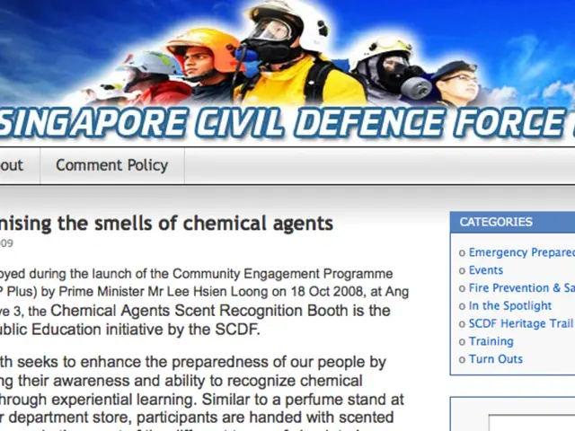 Unearth Stunning Content on RandomGiantNet Blog's Top Picks