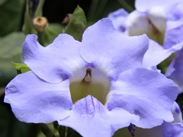 Transforming Habits: One Discipline Key to Every Change You Seek