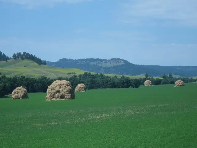 Global Dedication Day for Nature Conservation 2025: A Worldwide Pledge to Revitalize, Safeguard,...