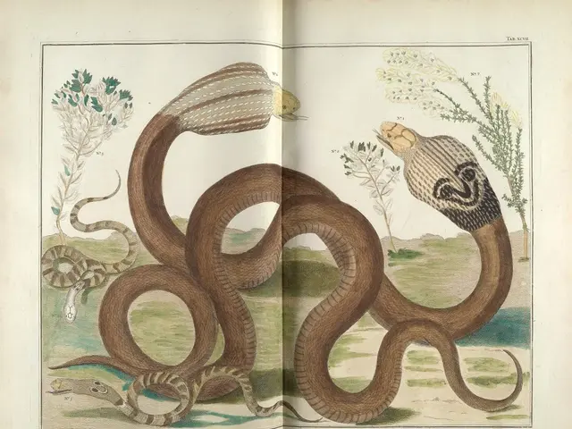 Over 140 indigenous individuals of the Andaman and Nicobar Islands take up positions as Home Guards...