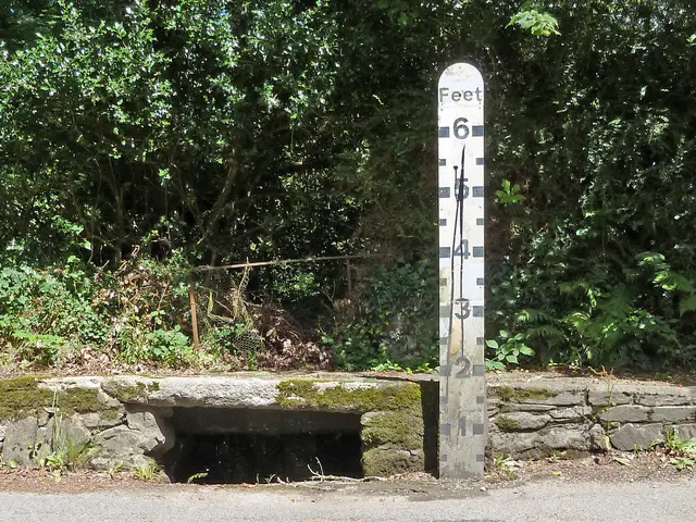 Bonsai and Mathematics: Equipping Children with Ownership over Concepts and Creative Design