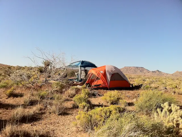 Environmental Education Initiative: 'Blue Pioneer' Summer Camp Focuses on Pressing Ecological...