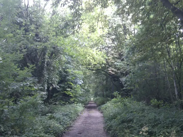 April Month's Possible Construction of Unwanted Roads?