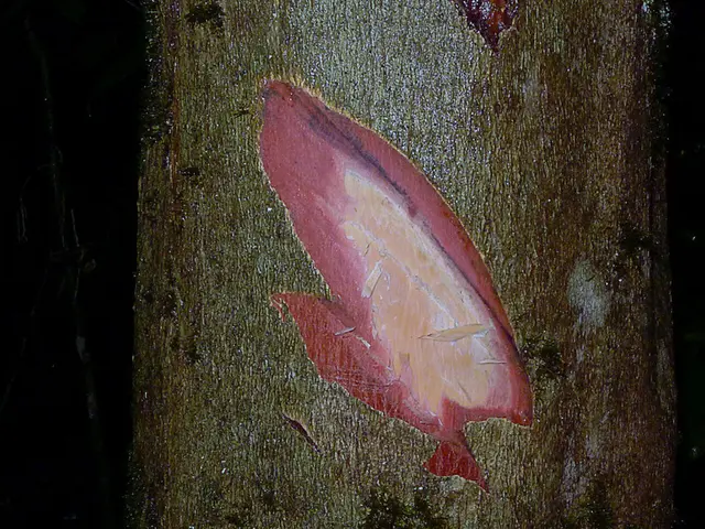 Frederick Weist: Identified Individual in Focus