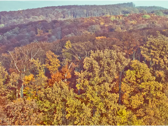 Future-Focused Green Competencies in Tackling Environmental Change