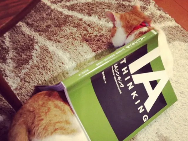 Intimations from your romantic dreams regarding connections