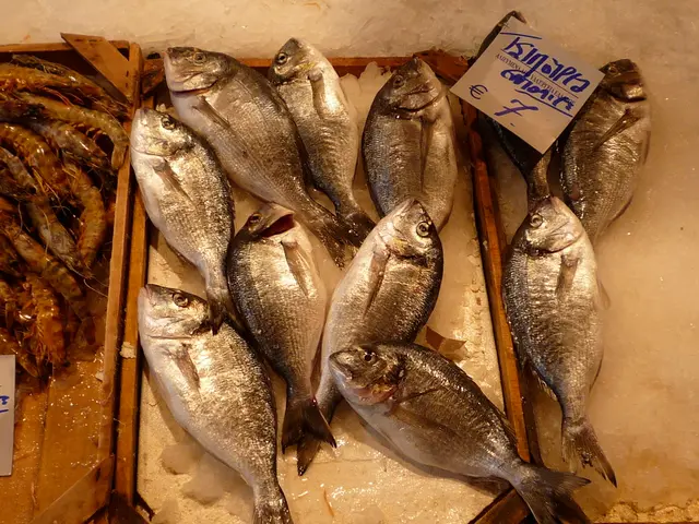 Training locations identified for enhancing the fisheries sector in Kamchatka