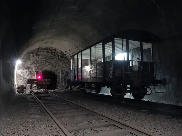 In Mexico, Slavery's End: The Journey South Towards Freedom by Former Slaves