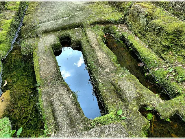 Global Hydrogen for Southern Regions: Examining Reality after the Excitement