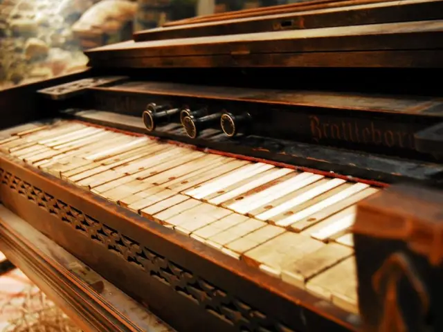 At University of California Los Angeles (UCLA), the Hill echoes with the melodies of music