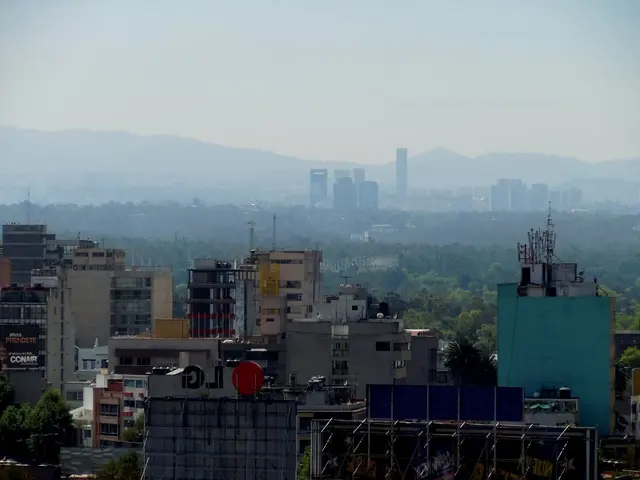 Destiny Awaits in the Prime of Life: Youth