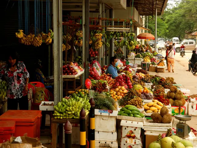 Strategic Approaches: Understanding Levels, Categories, and Illustrations for Victory