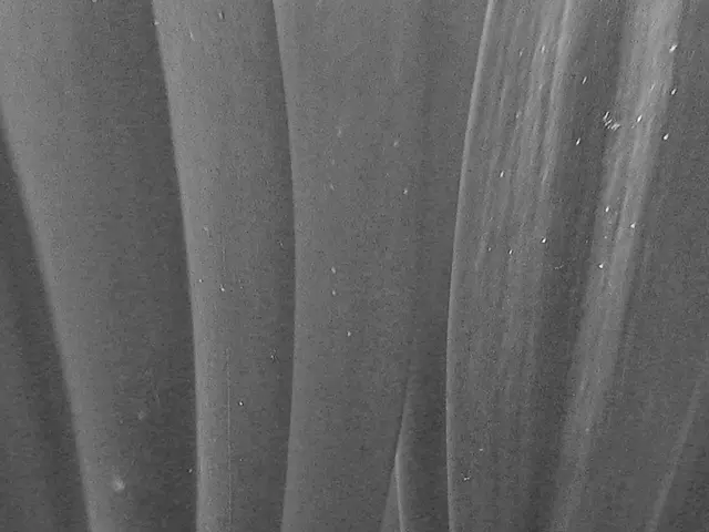 Interpreting messages from flora in dreams: an exploration of floral symbolism in slumber