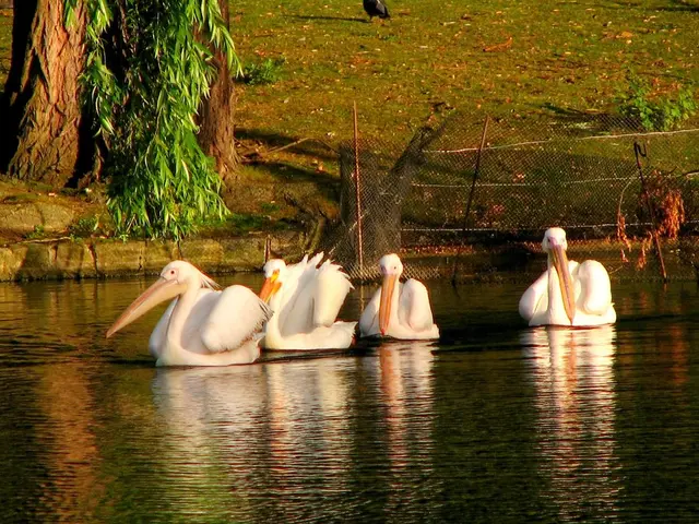 Adapting Animals in Cold Weather Conditions