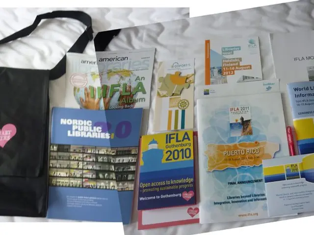 Literature Summer Readings Signal the Consequences of the Literacy Act on Learners