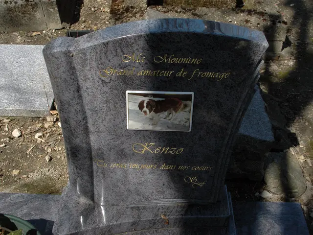 Secrets Unveiled: The Enigma of Death's Aftermath and Lifelessness' Puzzle