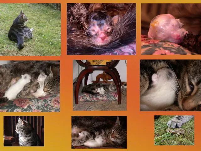 cutting-edge biomedical researchers affiliated with the University of Pennsylvania's veterinary...