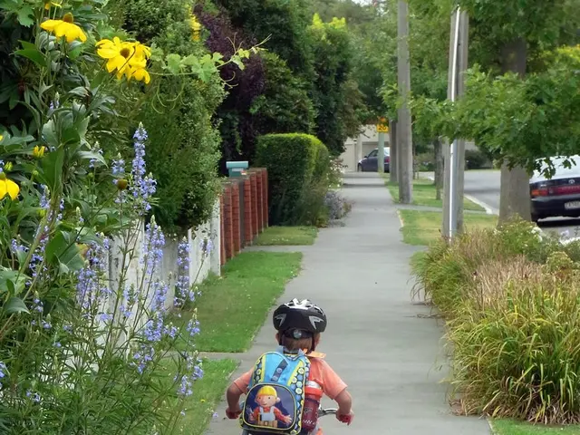 Recommendation for a youth safety plan in light of accidents has been requested from the...