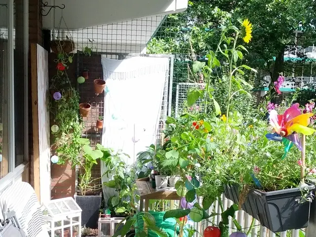 Living Sparsely, Yet Meaningfully: Procuring the Essence of Essentials amidst Complexity