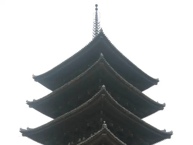 Collaboration on scientific projects with China fosters connections