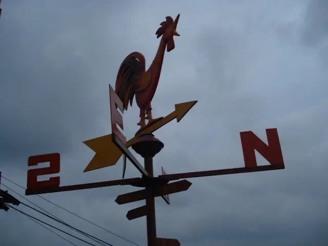 Delving Deep into the Basics: A Pedagogical Journey through the Foundations of Magnetism