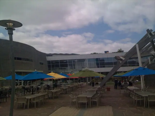 South Africa's Preparation for Climate-Related 'Transition Risks' during COVID-19 Pandemic