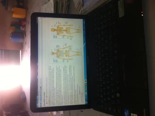 Top-notch laptops priced less than ₹50,000 ideal for students in 2025