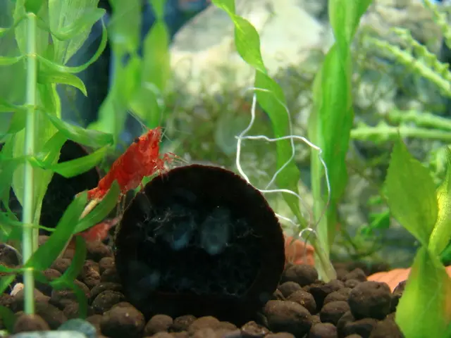 Top 12 Practical Environmental Science Toolkits Fostering Awe and Knowledge Exploration